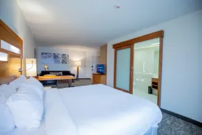 SpringHill Suites by Marriott Baton Rouge Gonzales - Chambre