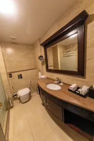 Petra Canyon Hotel - Bathroom
