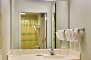 SpringHill Suites Philadelphia Plymouth Meeting - Salle de bain