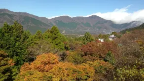 Chojuyu Hakone - View from room