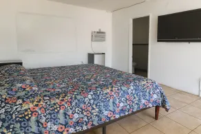 Antigua Motel by OYO Tampa US - 41 - Chambre
