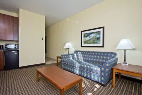 Holiday Inn Express and Suites Denver East Peoria Street by IHG - Chambre