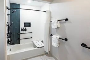 Hotel Indigo Spring - Woodlands Area by IHG - Rom