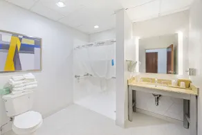 Comfort Suites Pecos - Salle de bain