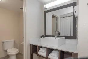 Red Roof Inn PLUS+ & Suites Knoxville West - Cedar Bluff - Badezimmer