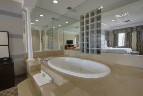 Holiday Inn Plainview-Long Island by IHG - Chambre