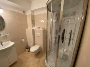 Vila Alsace Podu' cu Lanturi - Bathroom