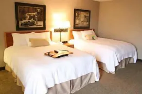 Hampton Inn Columbus/Taylorsville/Edinburgh - Habitación