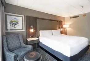 Holiday Inn - Memphis Downtown - Beale St. by IHG - Chambre