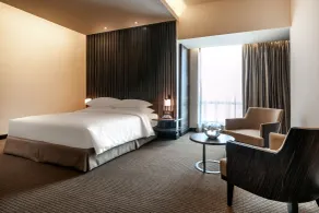 Hyatt Raipur - Room