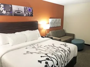 Sleep Inn & Suites Lancaster-Platteville - Værelse