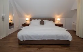 Hotel Vila Zeus - Room