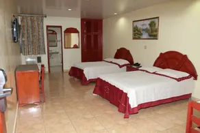 Hotel Alcala - Room