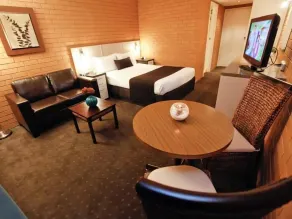 Mildura River City Motel - Room