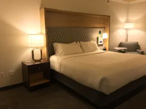 Holiday Inn & Suites McKinney - N Allen by IHG - Quarto