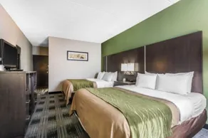 Comfort Inn Cleveland Airport - Chambre