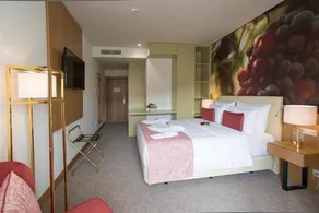 Douro Castelo Signature Hotel & Spa - Chambre