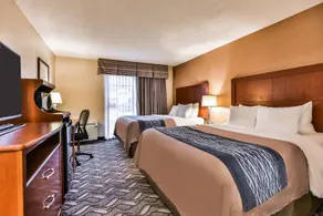 Comfort Inn & Suites Ambassador Bridge - Chambre