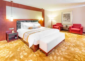 Guangzhou Baiyun International Convention Center LN Dongfang Hotel - Room