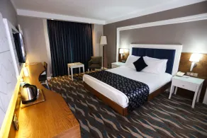 Sivas Buyuk Hotel - Room