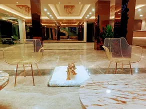 The Riverside Inn - Recepción