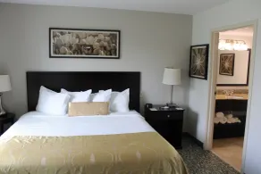 Wingate by Wyndham Houma - Vue de la chambre