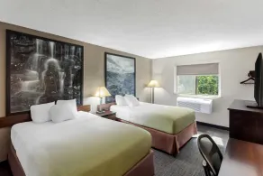 Super 8 by Wyndham Elkins - Room
