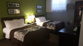 Cresthaven Inn JFK - Room