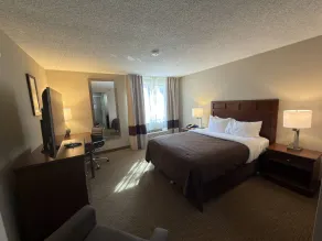 Wingate by Wyndham Utica - Chambre