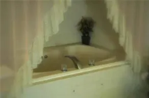 Lakeview Inn - Baño