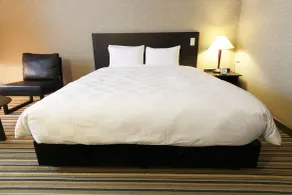 Spring Sunny Hotel Nagoya Tokoname ekimae - Chambre