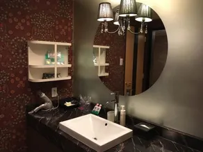 Hotel Apricot (Adult Only) - Bathroom sink