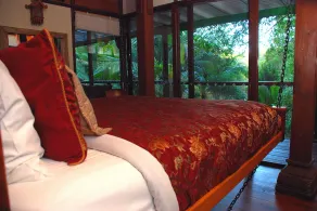 Wollumbin Palms Rainforest Retreat - View from room