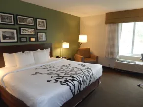 Sleep Inn & Suites Evergreen I-65 - Værelse