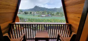 Umah Nanda Kintamani - View from room