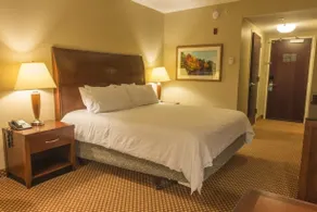 Hilton Garden Inn Bangor - Chambre