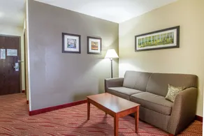 Comfort Inn Poplar Bluff North - Chambre