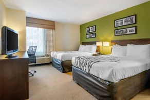 Sleep Inn I-95 North Savannah - Chambre