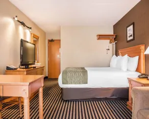 Comfort Inn - Chambre