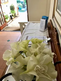 Pelican Lodge Guesthouse - Reception