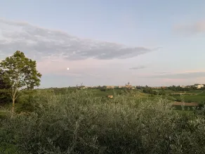 Laficaia Wine Resort - Utsikt från rummet