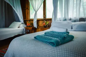 Ocean Forest Ecolodge - Zimmer