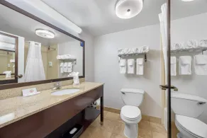 Comfort Inn Chattanooga Downtown Southside - Chambre