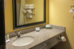 Quality Inn Williamston - Habitación