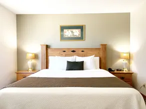 Burke Inn Motel & Suites - Værelse