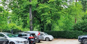 Villa Antonina - Reception