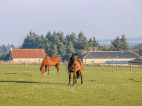The Byre - Salle de remise en forme