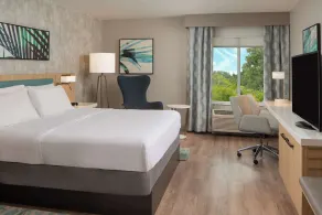 Hilton Garden Inn Orlando Airport - Room