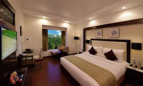 Lords Inn Jodhpur - Room