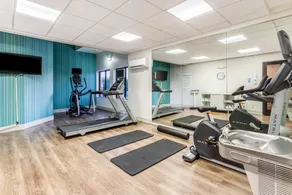 Holiday Inn Express & Suites O'Fallon-Shiloh by IHG - Salle de remise en forme